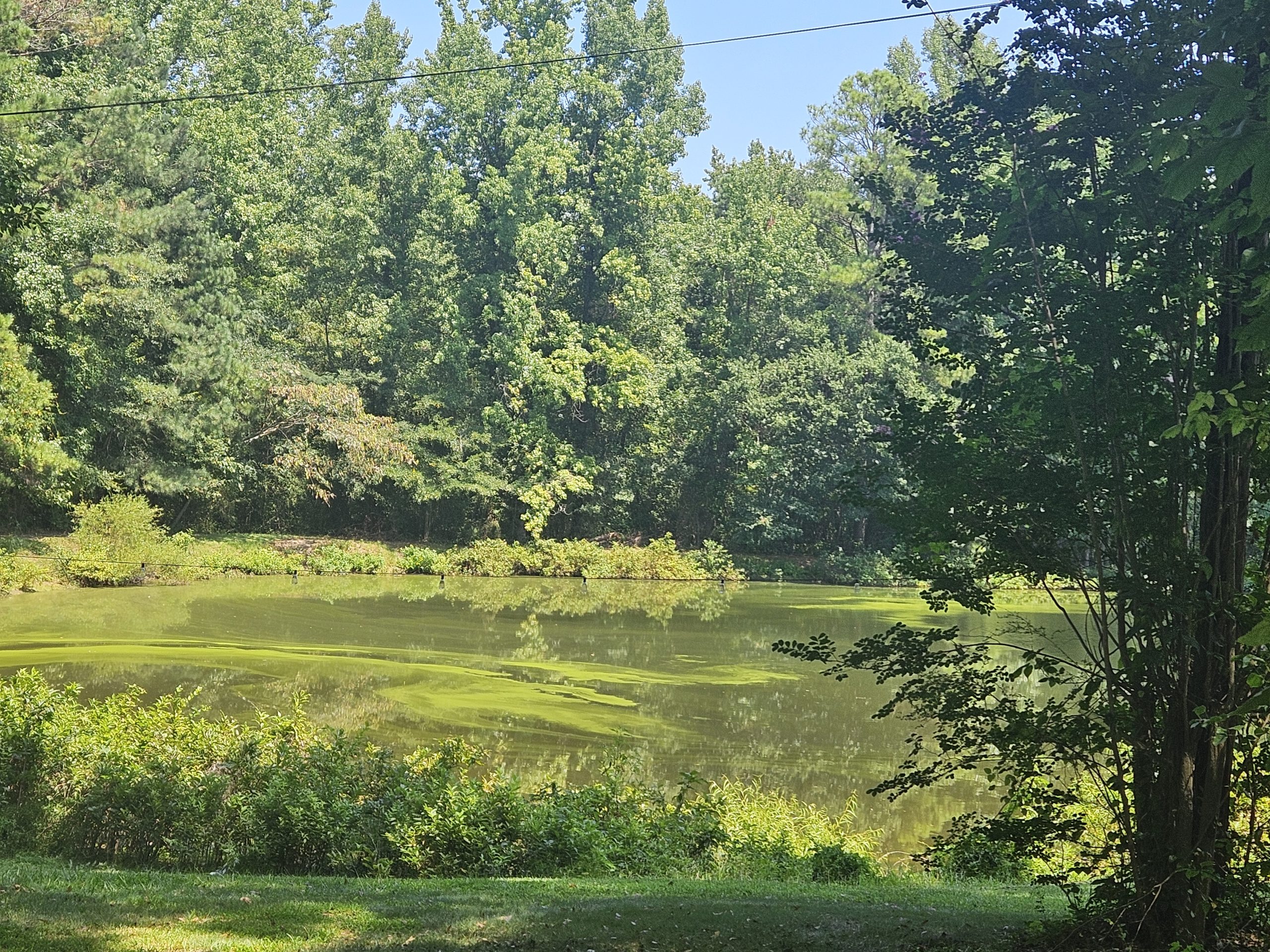 Lake Close